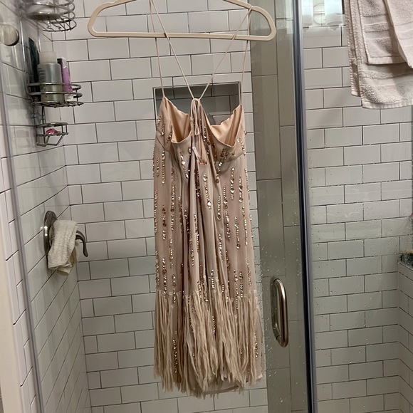 Light pink sequin and fringe FP dress - Picture 2 of 4